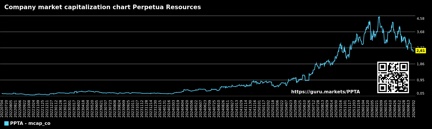 Company market capitalization chart Perpetua Resources